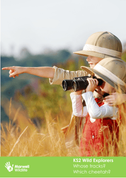 KS2 Wild Explorers Whose tracks? Which cheetah?