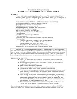 Notes on Dev Bio Plant Reproduction Lab