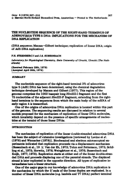 307 &copy; Elsevier/North-Holland Biomedical Press, Amsterdam