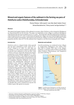 Mineral and organic features of the sediment in the farming sea