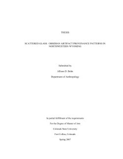 Scattered Glass: Obsidian Artifact Provenance Patterns in
