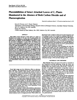 Photorespiration - Plant Physiology