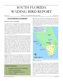 South Florida Wading Bird Report