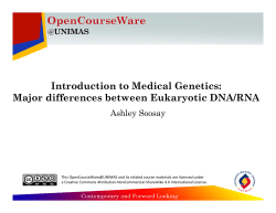 Major differences between Eukaryotic DNA/RNA