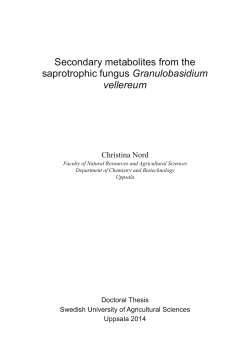 Secondary metabolites from the saprotrophic fungus