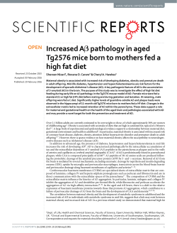 Increased A&beta; pathology in aged Tg2576 mice born to mothers fed a