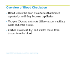 Overview of Blood Circulation Blood leaves the heart via arteries
