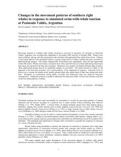 Changes in the movement patterns of southern right whales in