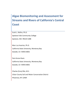 Algae Biomonitoring and Assessment for Streams and