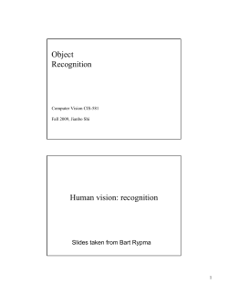 Object Recognition Human vision: recognition