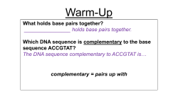 DNA Replication - stephen fleenor