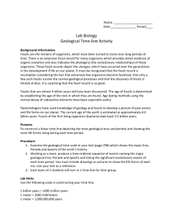 Lab Biology Geological Time