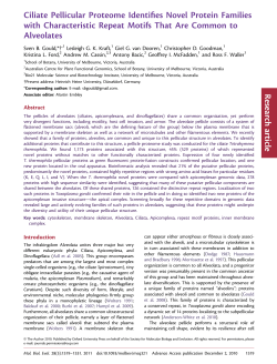 Ciliate Pellicular Proteome Identifies Novel