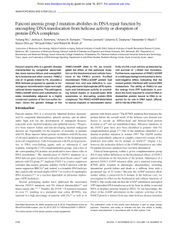 Fanconi anemia group J mutation abolishes its DNA