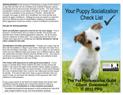 Puppy Socialization - The Pet Professional Guild