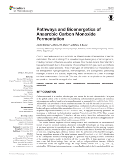 Pathways and Bioenergetics of Anaerobic Carbon Monoxide