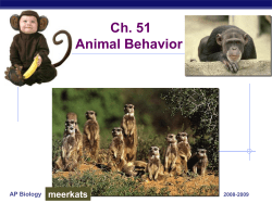 Ch. 51 Animal Behavior