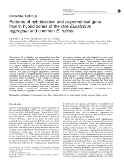Patterns of hybridization and asymmetrical gene flow in hybrid