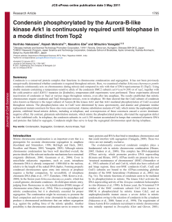 Condensin phosphorylated by the Aurora-B