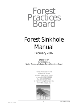 Forest Sinkhole Manual