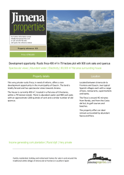 Development opportunity: Rustic finca 490 m2 in 79 hectare plot