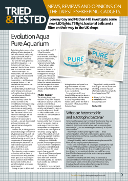 PFK Review - Evolution Aqua