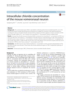 Intracellular chloride concentration of the mouse