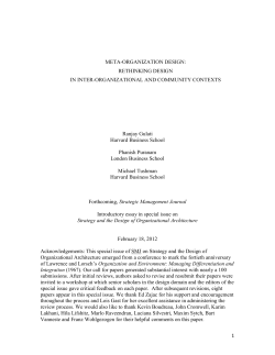 meta-organizational design
