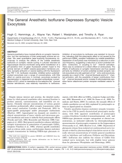 The General Anesthetic Isoflurane Depresses Synaptic Vesicle