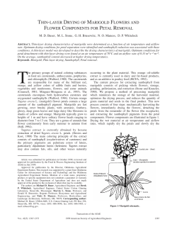 thin-layer drying of marigold flowers and flower components for petal