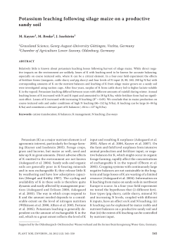 Potassium leaching following silage maize on a productive sandy soil
