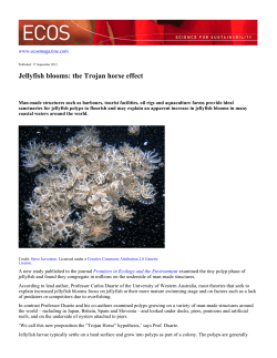 Jellyfish blooms: the Trojan horse effect