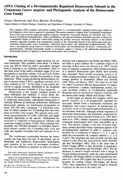 cDNA Cloning of a Developmentally Regulated Hemocyanin