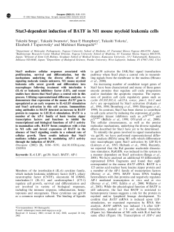 Stat3-dependent induction of BATF in M1 mouse myeloid
