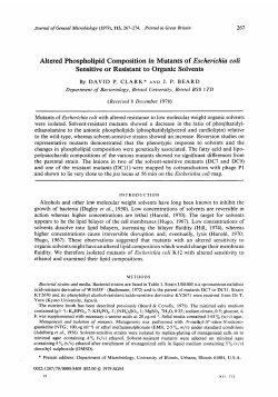 Altered Phospholipid Composition in Mutants of