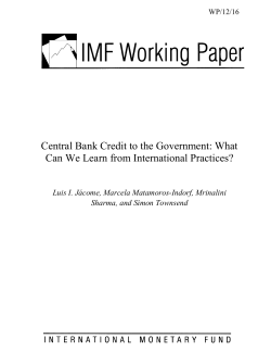Central Bank Credit to the Government: What Can We Learn from