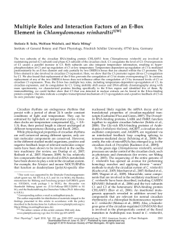 Multiple Roles and Interaction Factors of an E