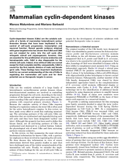 A recent review of mammalian cdks and cyclins