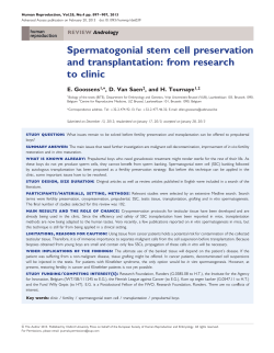 Spermatogonial stem cell preservation and