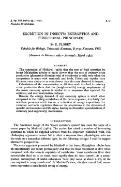 EXCRETION IN INSECTS: ENERGETICS AND FUNCTIONAL