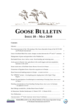 goose bulletin issue 10 &ndash; may 2010