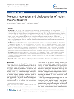 Molecular evolution and phylogenetics of rodent