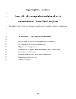 Anaerobic, nitrate-dependent oxidation of pyrite nanoparticles by