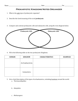 Prokaryotic Kingdoms Notes Organizer