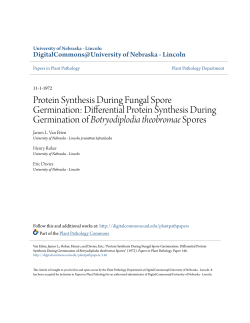 Protein Synthesis During Fungal Spore Germination: Differential