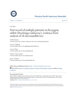 First record of multiple paternity in the pygmy rabbit