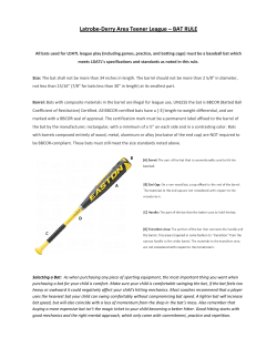 Latrobe-Derry Area Teener League &ndash; BAT RULE