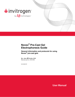 Novex® Pre-Cast Gel Electrophoresis Guide