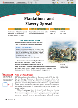 Plantations and Slavery Spread