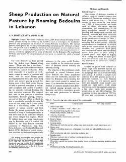 Sheep Production on Natural Pasture by Roaming Bedouins in